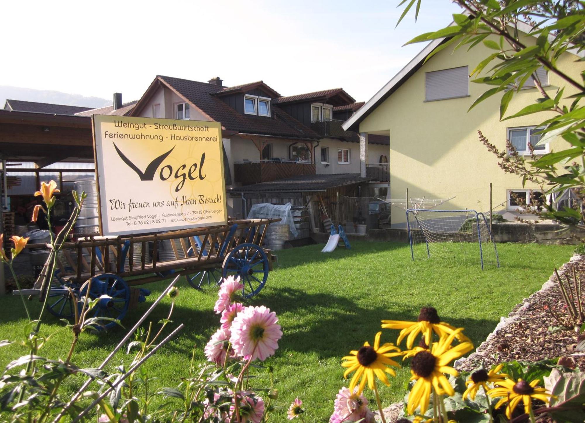 Апартаменти Weingut & Strausswirtschaft Vogel Фоґтсбурґ Екстер'єр фото