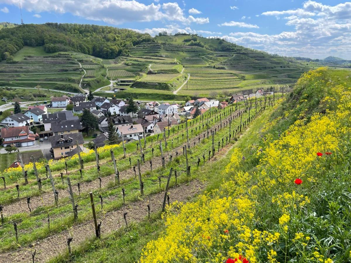 Апартаменти Weingut & Strausswirtschaft Vogel Фоґтсбурґ Екстер'єр фото