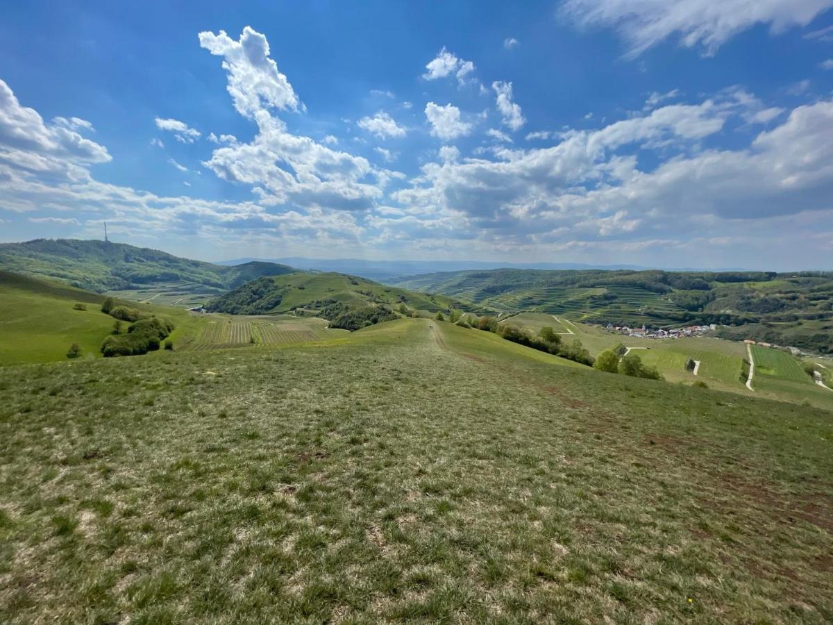 Апартаменти Weingut & Strausswirtschaft Vogel Фоґтсбурґ Екстер'єр фото
