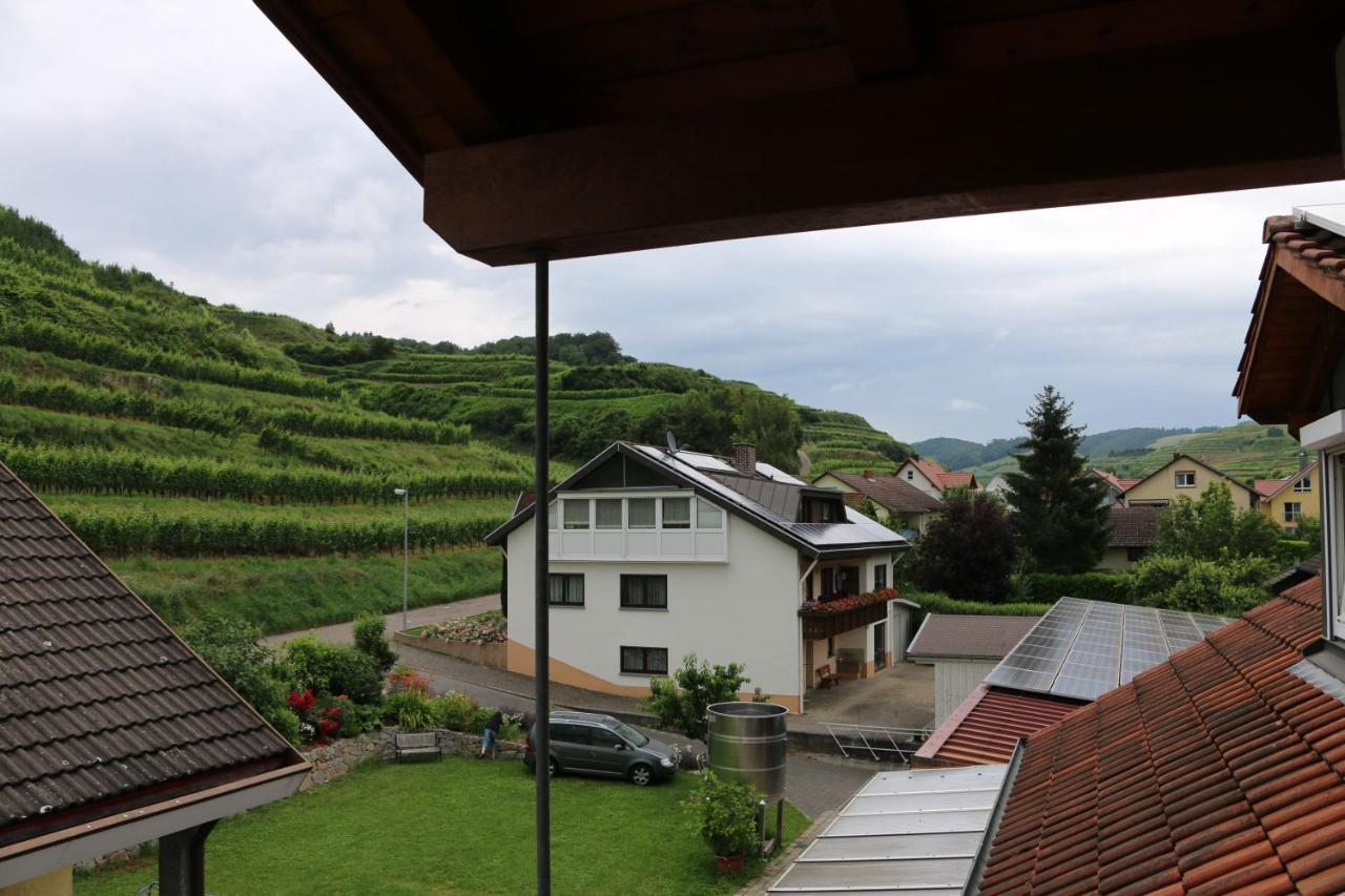 Апартаменти Weingut & Strausswirtschaft Vogel Фоґтсбурґ Екстер'єр фото