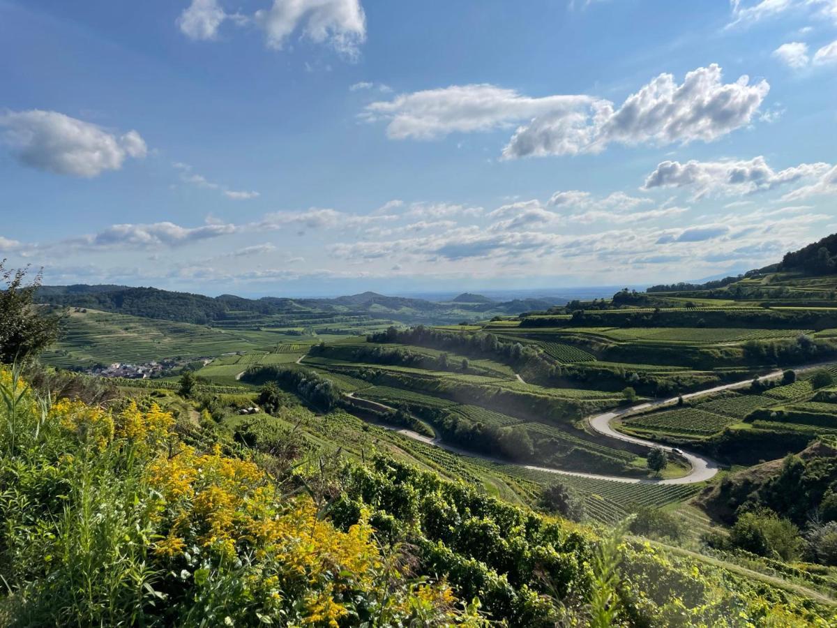 Апартаменти Weingut & Strausswirtschaft Vogel Фоґтсбурґ Екстер'єр фото