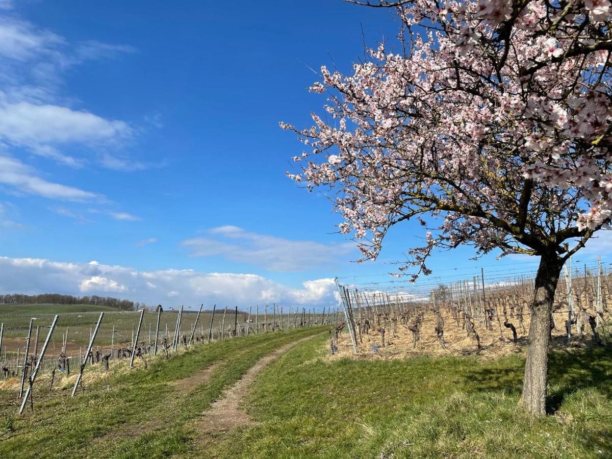 Апартаменти Weingut & Strausswirtschaft Vogel Фоґтсбурґ Екстер'єр фото
