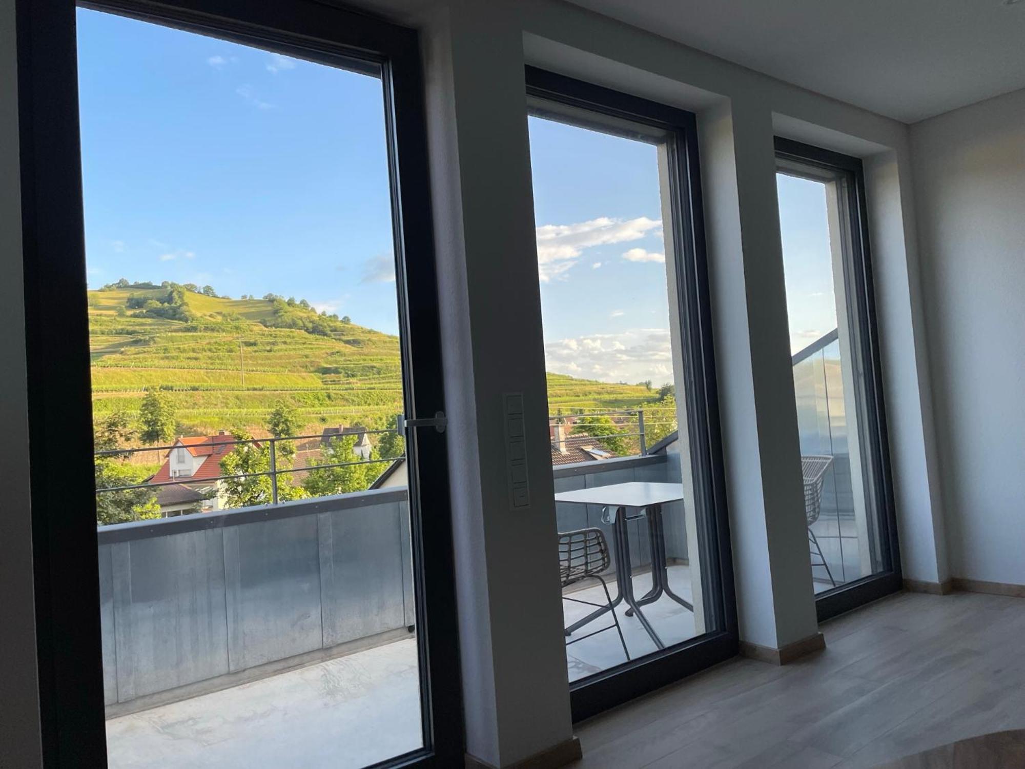 Апартаменти Weingut & Strausswirtschaft Vogel Фоґтсбурґ Екстер'єр фото