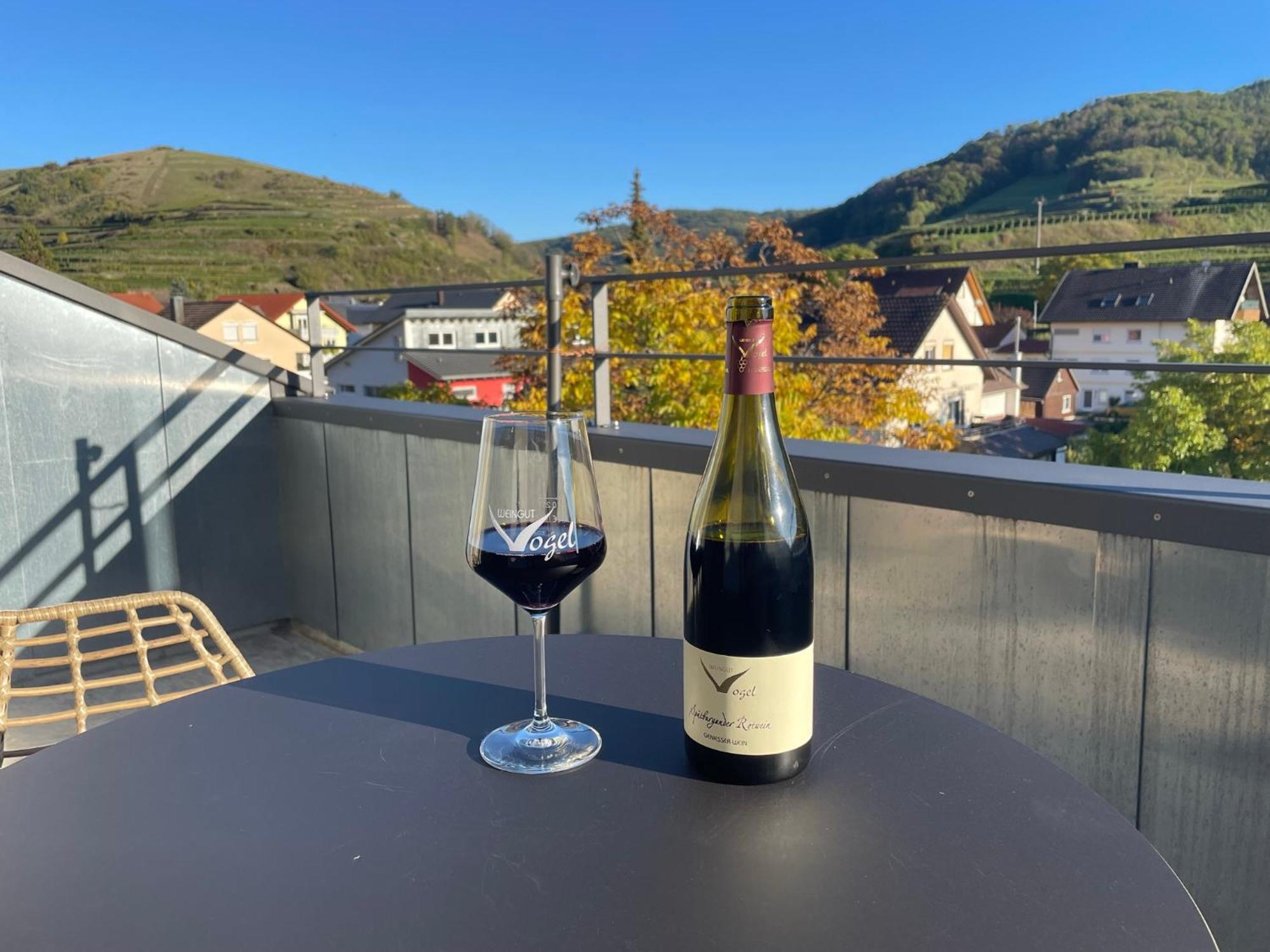 Апартаменти Weingut & Strausswirtschaft Vogel Фоґтсбурґ Екстер'єр фото