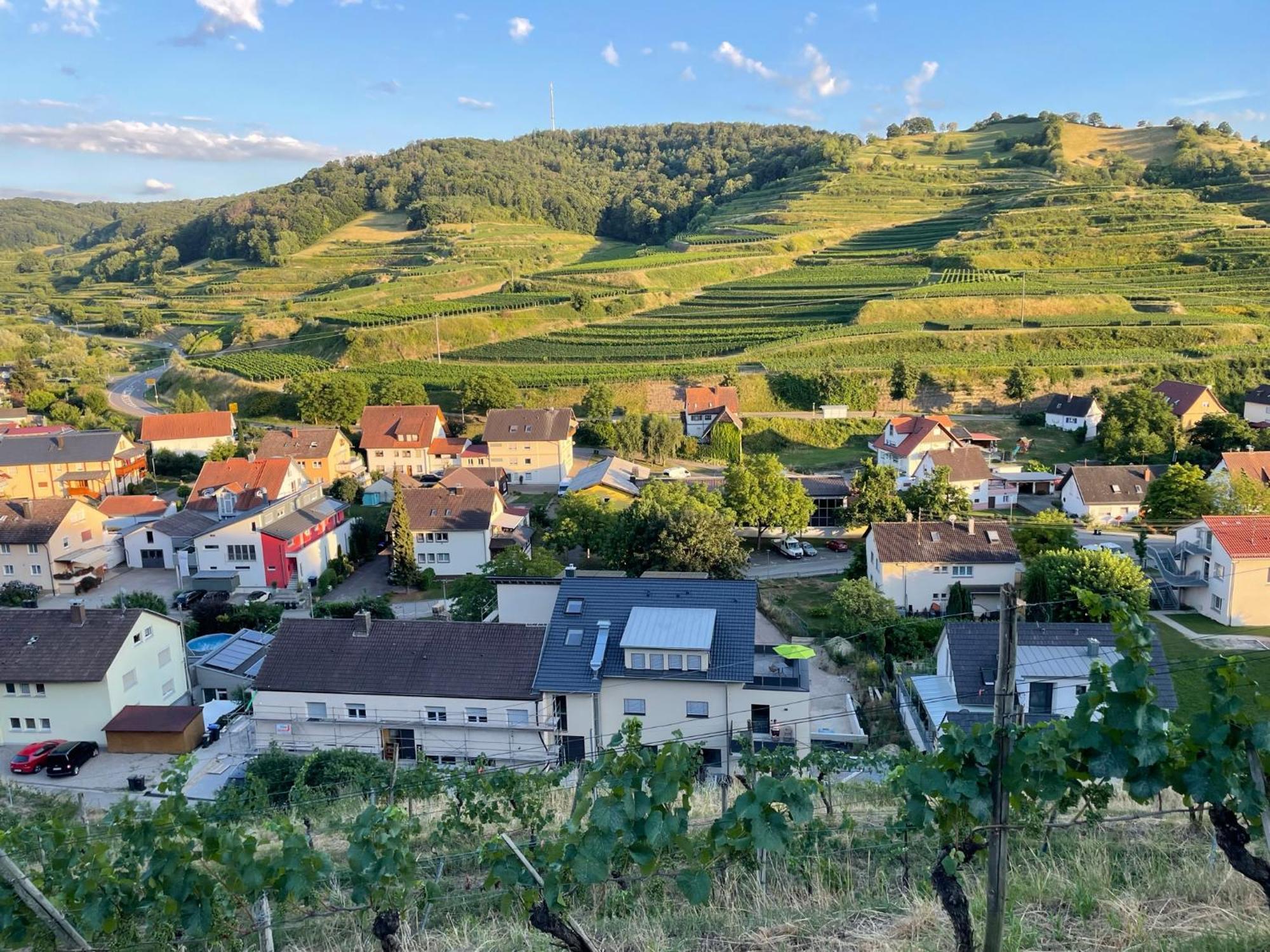 Апартаменти Weingut & Strausswirtschaft Vogel Фоґтсбурґ Екстер'єр фото